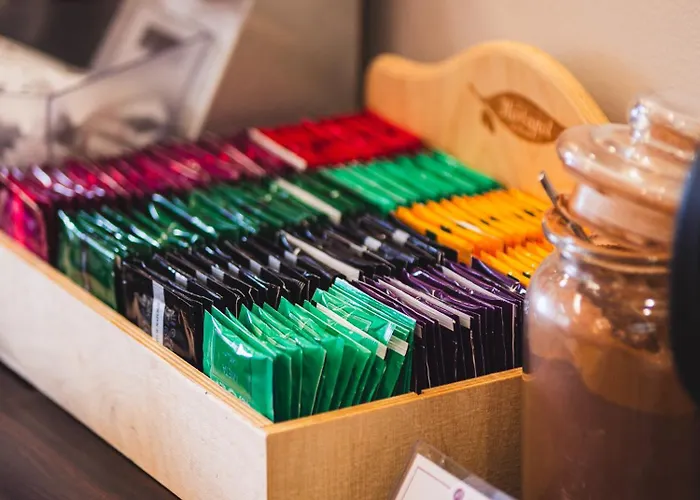 Focus מלון שצ'צ'ין